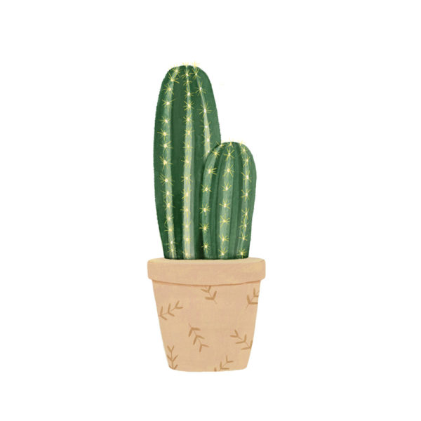 Lámina vegetal - cactus estampado - Hermano Gato - Liderlamp