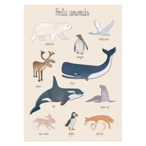Lamina Arctic Animals - animales - ilustracion - habitacion ninos - Liderlamp (1)