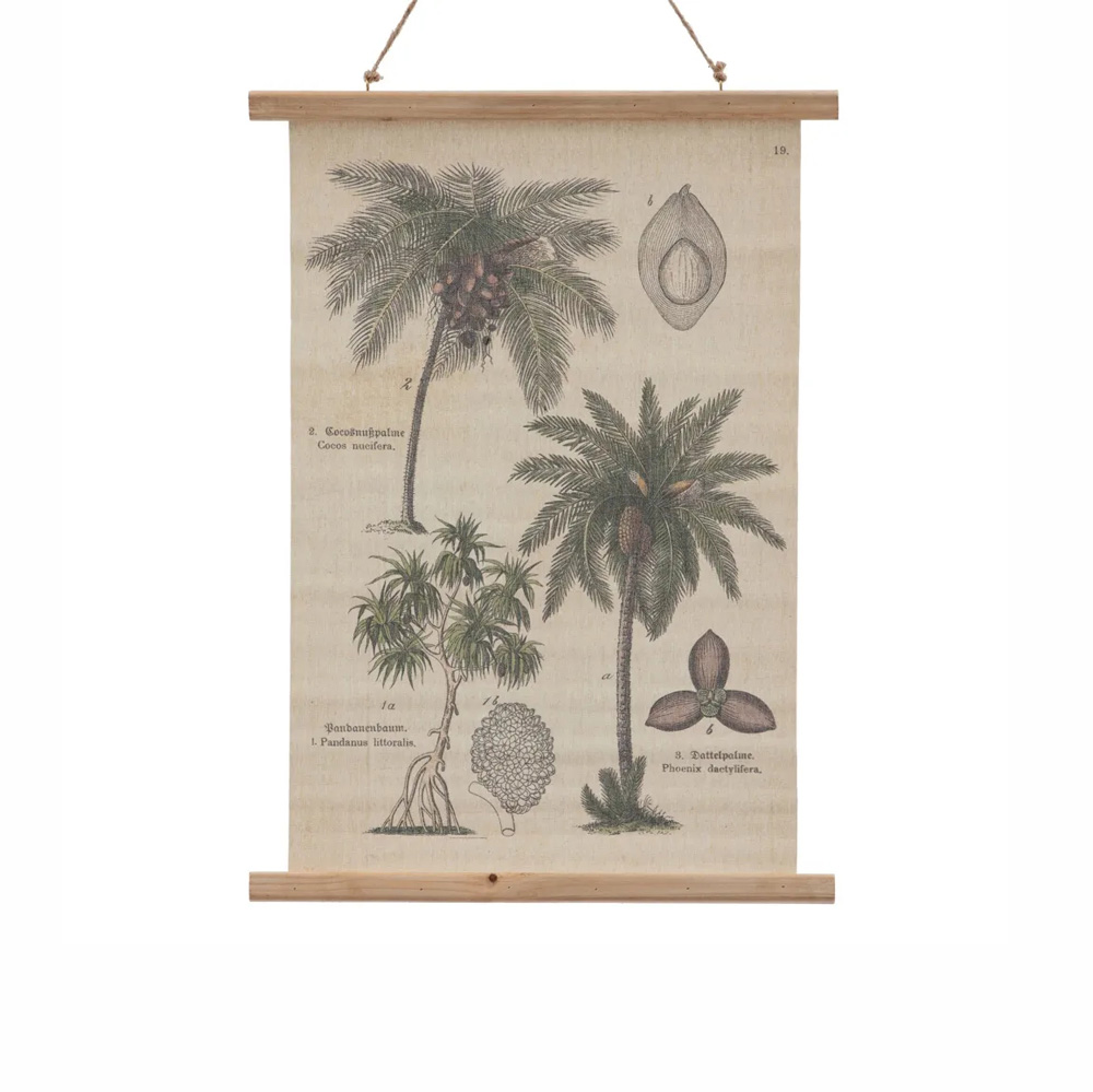 Pergamino Palmeras - lamina - decoracion pared - poster - botanica - Liderlamp (1)