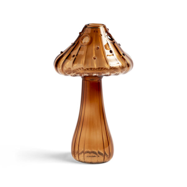 Jarron Mushroom - flores en casa - esqueje planta interior - Liderlamp (1)