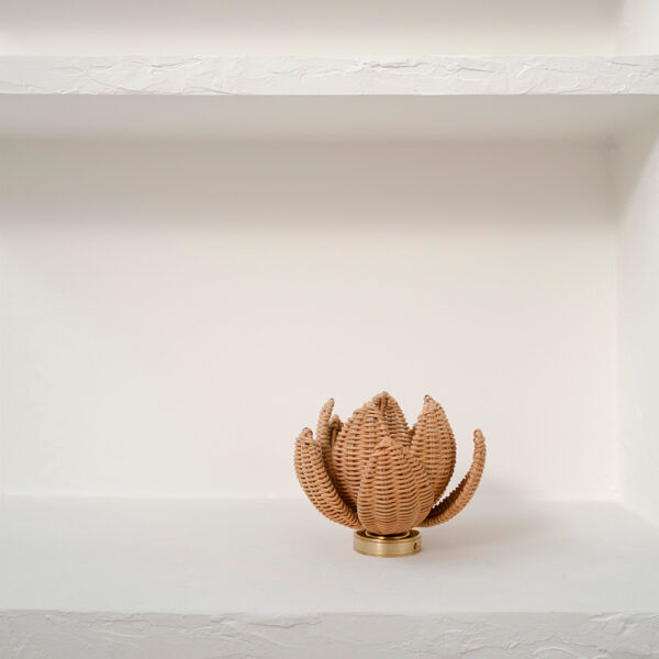 Plafón rattan rose perfil estante - Liderlamp